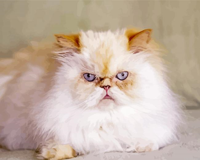 Angry Himalayan Cat Painting By Numberss.png