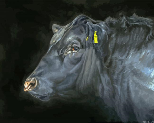 Angus Head Paint By Numbers.png