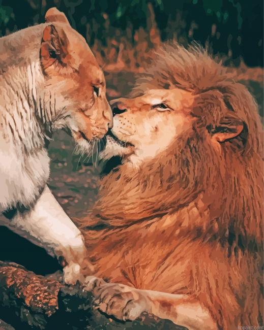 Animals Couple Painting By Numberss.png
