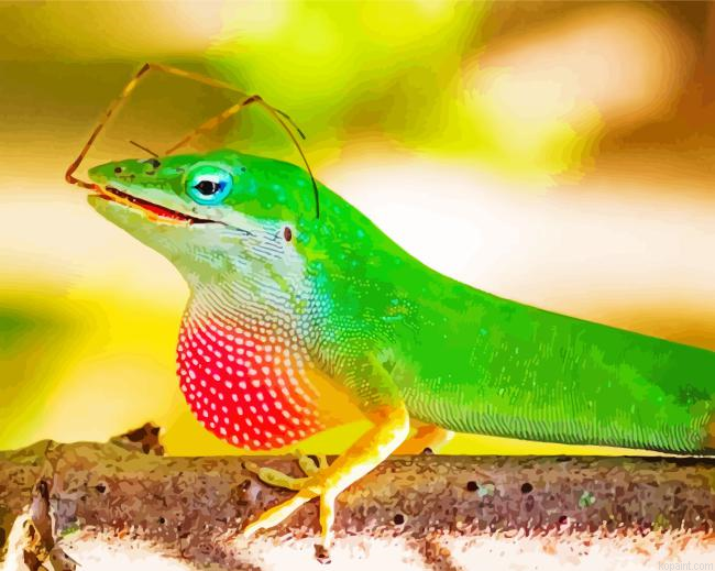 Anole Lizard Eating Painting By Numberss.png