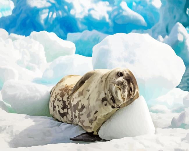 Antarctican Seal Painting By Numberss.png