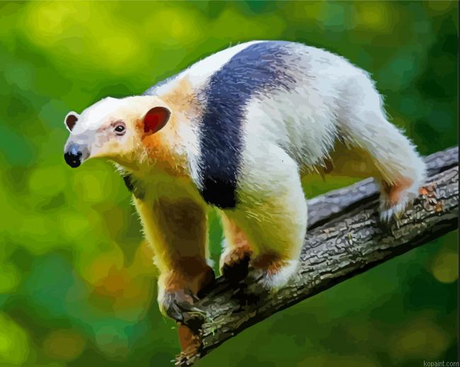 Anteater Tamandua Painting By Numberss.png