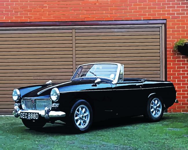 Antique Black Mg Car Painting By Numberss.png
