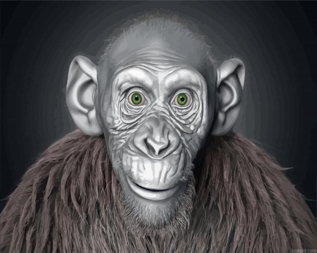 Ape With Green Eyes Paint By numbers