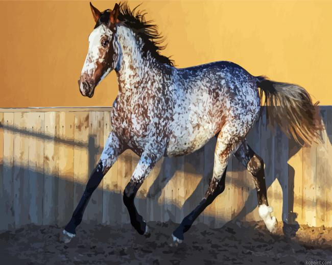 Appaloosa Horse Paint By Numbers.png