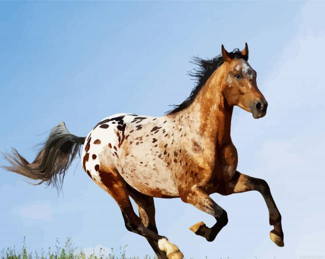 Appaloosa Horse Running Paint By Numbers.png