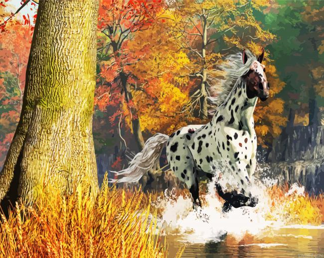 Appaloosa Horse Running Paint By Numbers