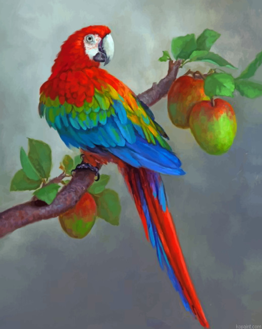 Apples And Parrot Painting By Numberss.png