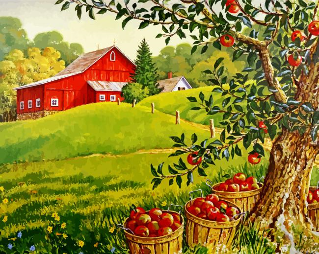 Apples Orchard Painting By Numberss.png