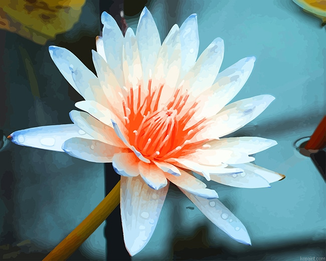 Aquatic Plant New Painting By Numberss.png