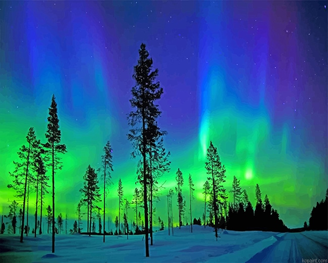 Arctic Aurora Landscape New Painting By Numberss.png