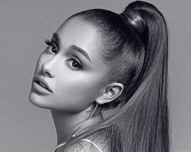 Ariana Grande Black And White New Painting By Numberss.png