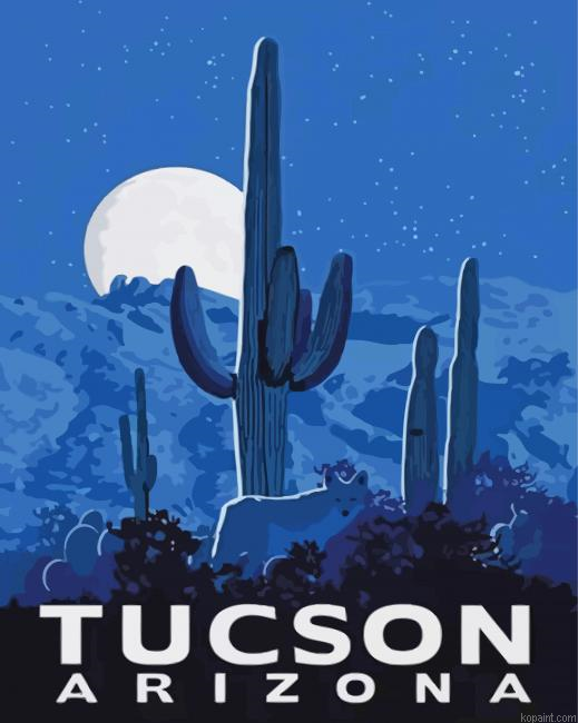 Arizona Poster Painting By Numberss.png