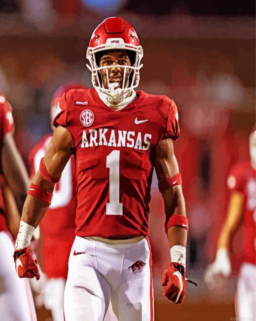 Arkansas Razorback Footballer Paint By Numbers