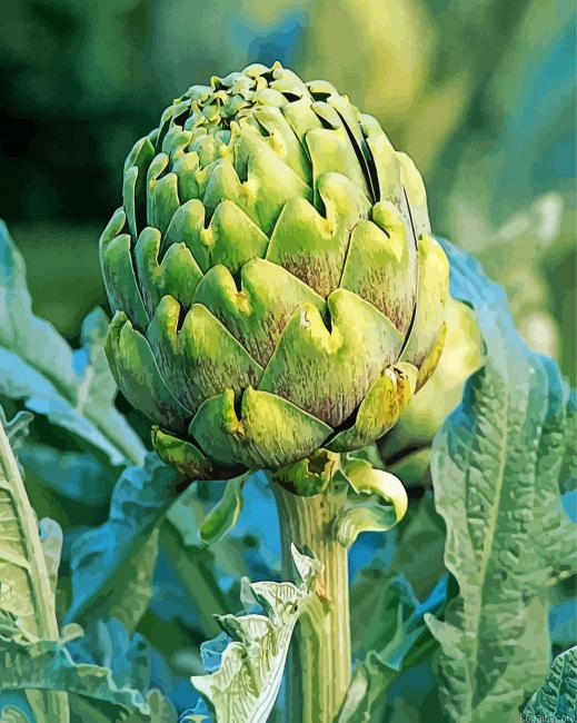 Artichoke Plant Painting By Numberss.png