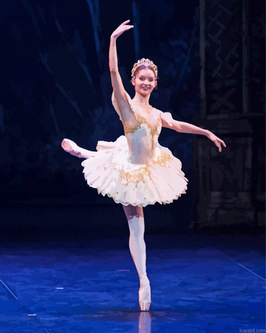 Artistic Ballerina Painting By Numberss.png
