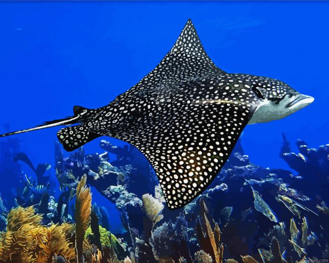 Asethetic Stingray Painting By Numberss.png