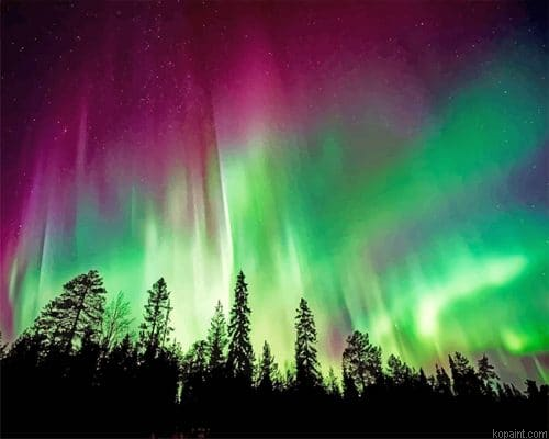 Aurora Borealis Trees Silhouette New Painting By Numberss.png