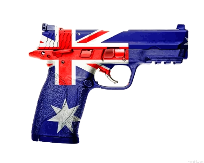 Australian Gun Painting By Numberss.png