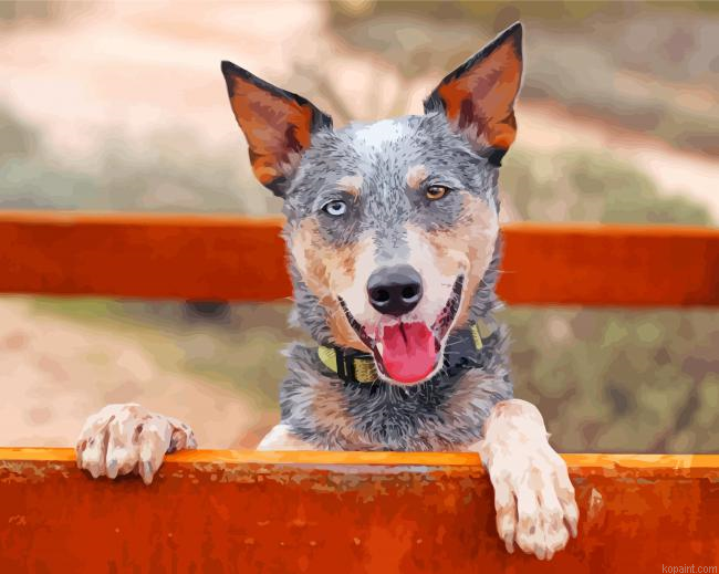 Australian Heeler Painting By Numberss.png