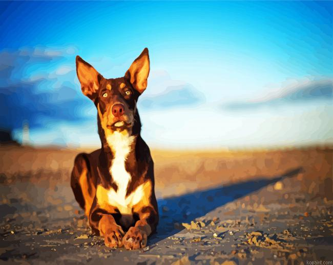 Australian Kelpie Dog Animal Painting By Numberss.png