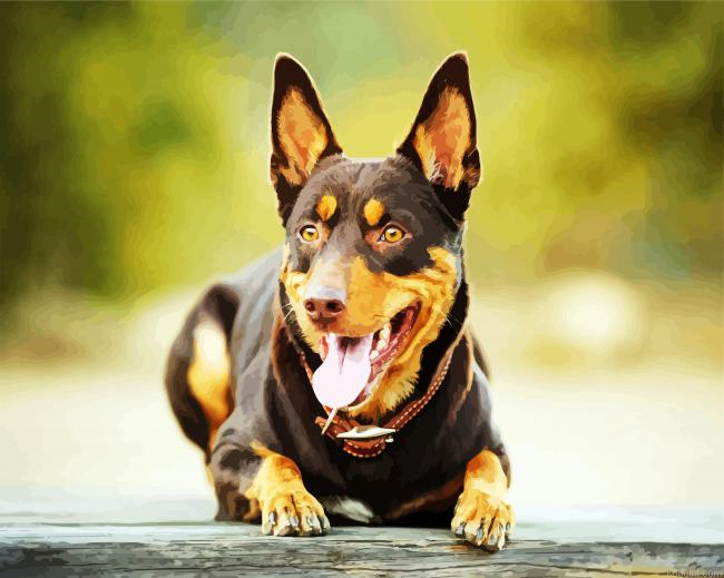 Australian Kelpie Painting By Numberss.png