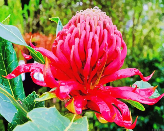 Australian Native Flora Paint By Numbers