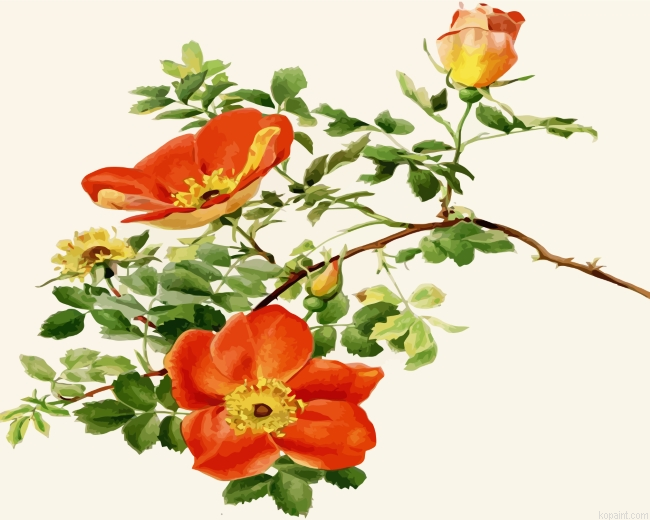 Austrian Briar Painting By Numberss.png