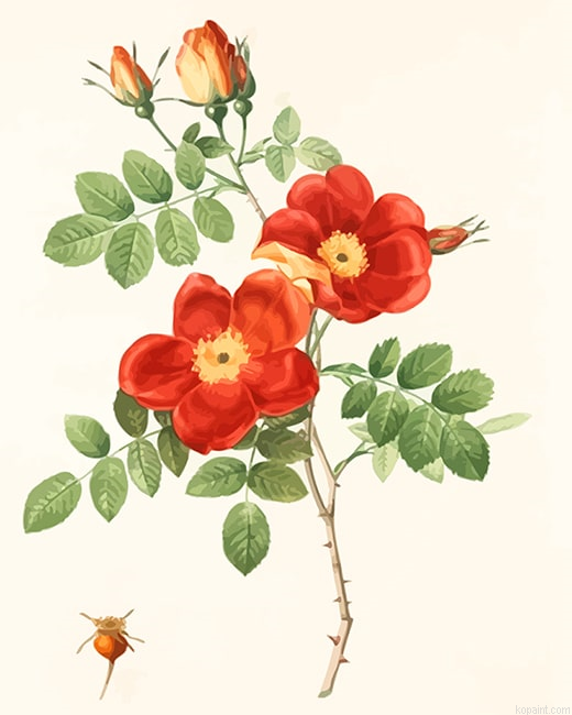 Austrian Briar Vintage Rose New Painting By Numberss.png