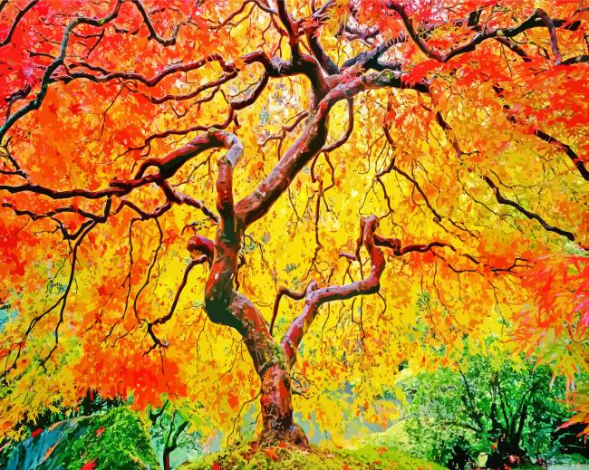 Autumn Flame Portland Japanese Garden Painting By Numberss.png