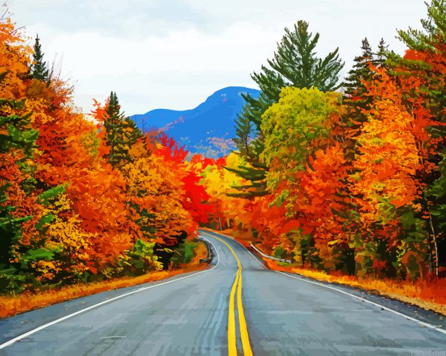 Autumn Foliage Trees Paint By Numbers.png
