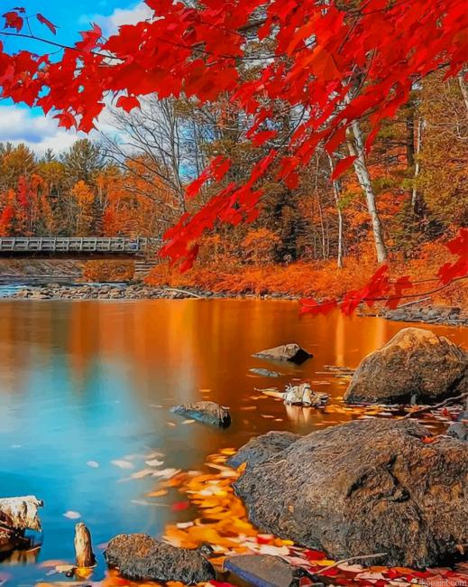 Autumn Nature New Painting By Numberss.png