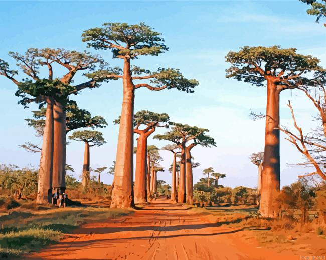 Avenue Of The Baobabs Painting By Numberss.png
