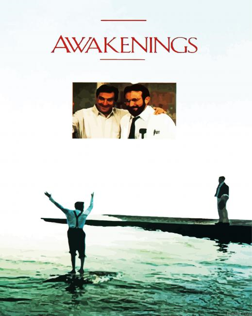 Awakening Movie Poster Paint By Numbers