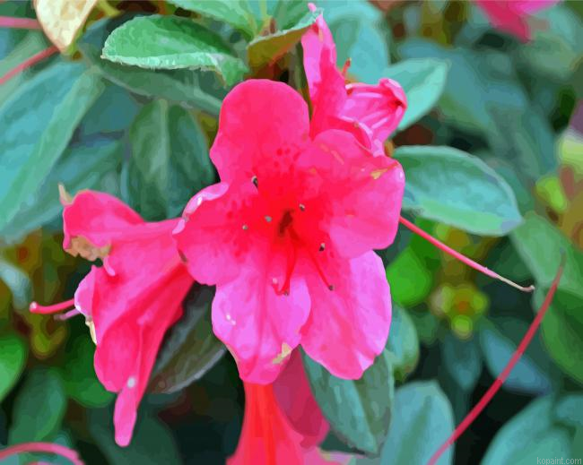 Azaleas Pink Flowers Painting By Numberss.png