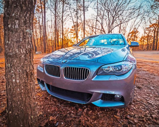 Bmw 535i Sport Car Painting By Numberss.png