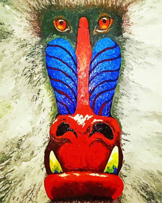Baboon Monkey Face Art Painting By Numberss.png