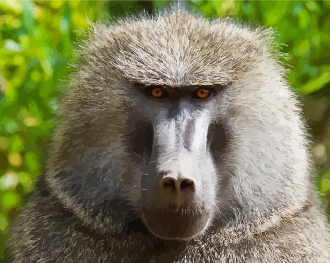 Baboon Painting By Numberss.png