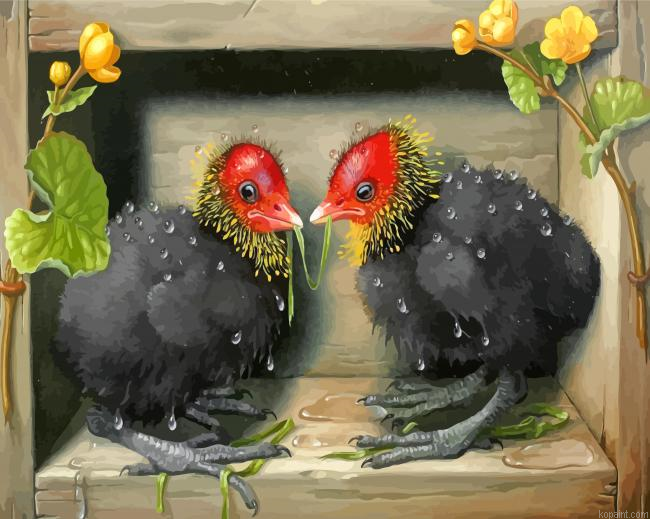 Baby Birds Paint By Numbers