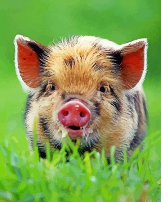 Baby Boar Painting By Numberss.png