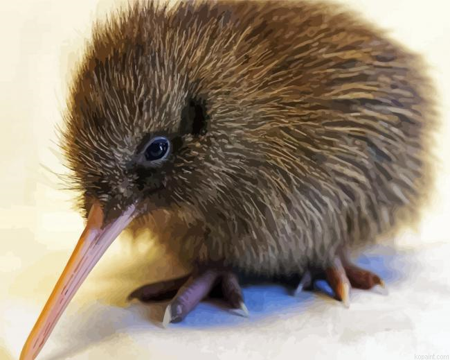 Baby Kiwi Bird Painting By Numberss.png