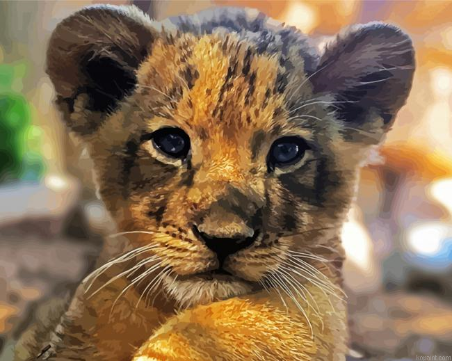 Baby Lion Cub Head Painting By Numberss.png