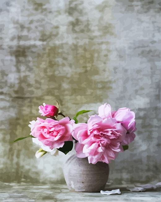 Baby Pink Flowers New Painting By Numberss.png