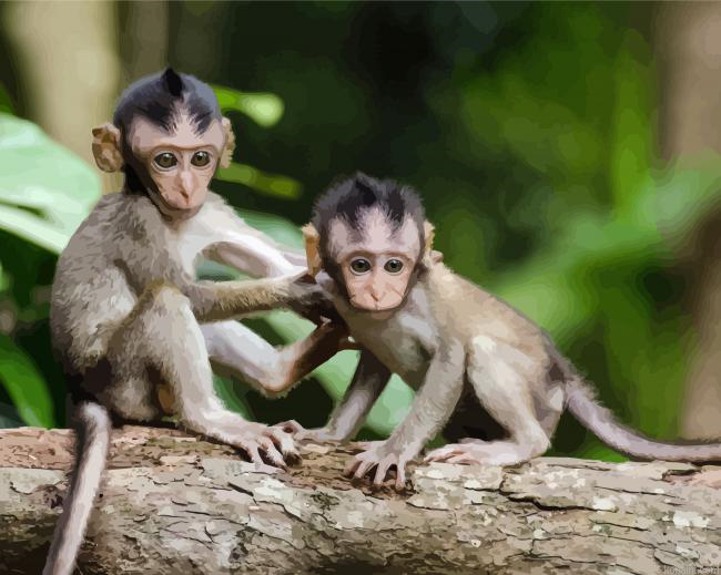 Baby Primate Animals Painting By Numberss.png