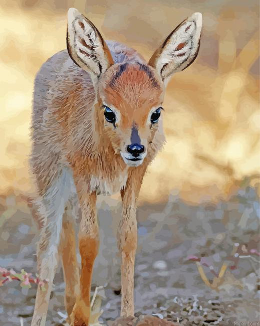 Baby Steenbok Painting By Numberss.png