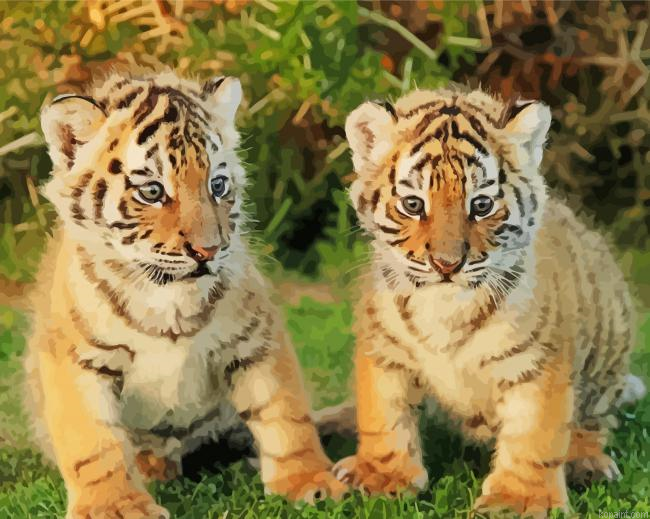 Baby Tigers Painting By Numberss.png