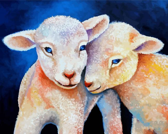 Baby Twins Lamb Painting By Numberss.png