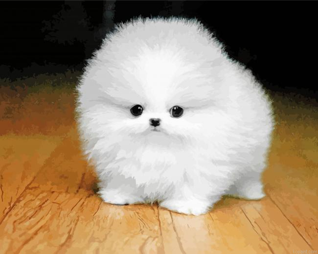 Baby White Fluffy Dog Painting By Numberss.png