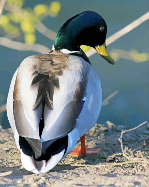 Back Duck Painting By Numberss.png