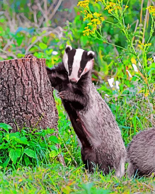 Badger Animal Painting By Numberss.png